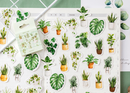House Plant Paper Stickers