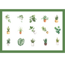 House Plant Paper Stickers