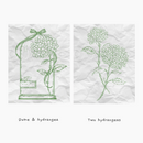 Hydrangea Garden Stamp