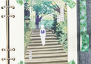 Kyoto Series Washi Tape - Spring