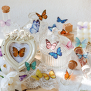 MO•CARD Original Deco Stickers - Pink Butterflies