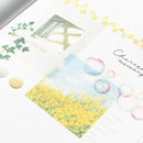 Mind Wave Clear Masking Tape - Limited Edition - Bubble