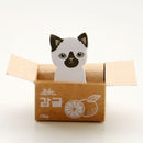 Kitty In A Box Sticky Notes