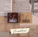 Summer Flower Wooden Stamps
