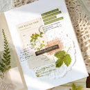 Time In The Nature Scrapbooking Paper Set