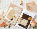 Time In The Nature Scrapbooking Paper Set