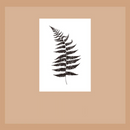 Wild Nature Acrylic Stamps