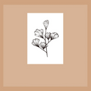 Wild Nature Acrylic Stamps