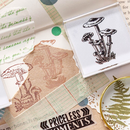 Wild Nature Acrylic Stamps
