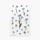 Appree Pressed Flower Stickers - Forget-me-not