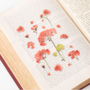 Appree Pressed Flower Stickers - Geranium