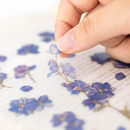 Appree Pressed Flower Stickers - Larkspur