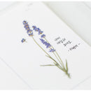 Appree Pressed Flower Stickers - Lavender