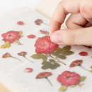 Appree Pressed Flower Stickers - Mini Rose
