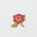 Appree Pressed Flower Stickers - Mini Rose