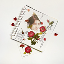 Appree Pressed Flower Stickers - Mini Rose