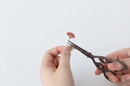 Appree Pressed Flower Stickers - Mini Rose